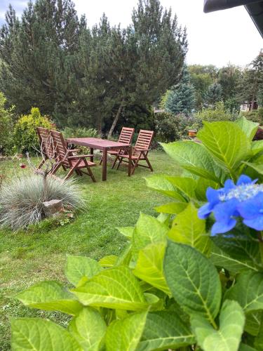 a picnic table and chairs in a yard with blue flowers at Lodge am Wald Terrasse Garten Grill ruhige Lage Wandern in Wienrode
