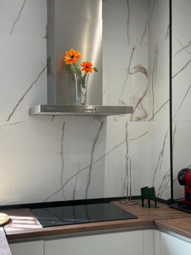 a vase of flowers sitting on a shelf in a kitchen at Casa De la Vega in Cenes de la Vega