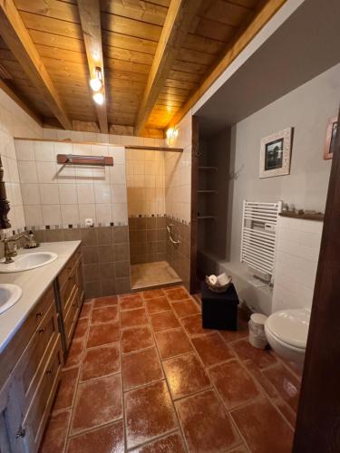 a bathroom with a toilet and a sink and a shower at Domaine Les Belles Fontaines in Bierry-les-Belles-Fontaines