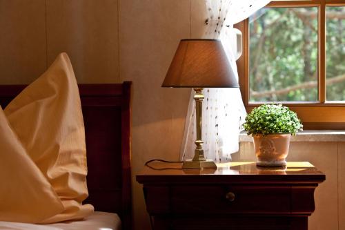 a table with a lamp and a potted plant on it at Wy & Spa in Pobierowo