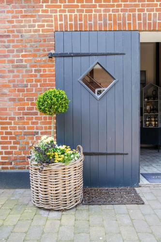 a blue door with two plants in a basket at Studio Zwei in Oersberg
