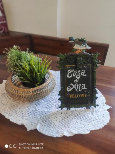 a table with two potted plants and a sign on it at Casa di Ana 2 in Ancona