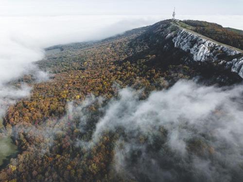 Gambar di galeri bagi Marináda Viniční dům di Pavlov