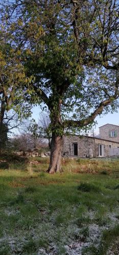Petite Maison Marie-Louise
