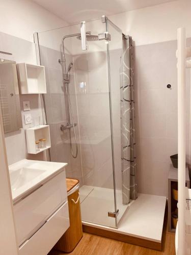 une salle de bain avec douche et lavabo dans l'établissement Superbe appartement climatisé avec wifi classé 3 étoiles à 50 m de la plage Le Lavandou, au Lavandou