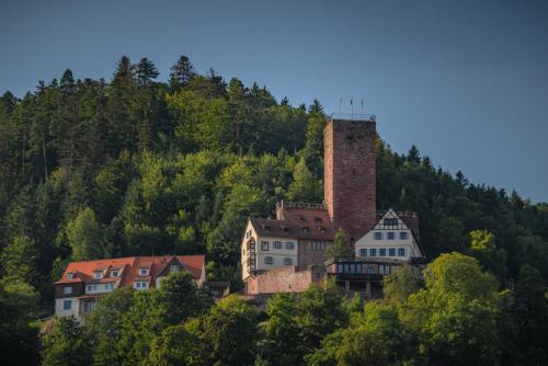 a group of houses in front of a mountain at Camping Bad Liebenzell in Bad Liebenzell