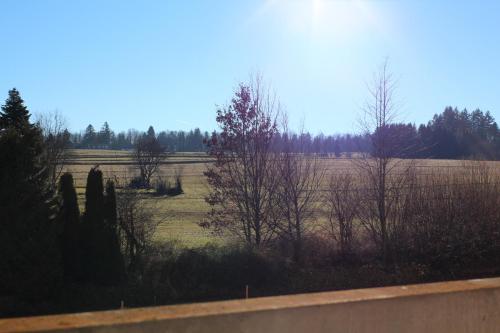 Příroda nedaleko apartmánu