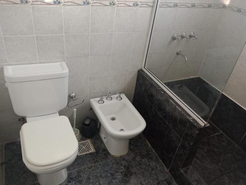 a bathroom with a toilet and a shower and a sink at Casa y Departamento en Centenario in Centenario