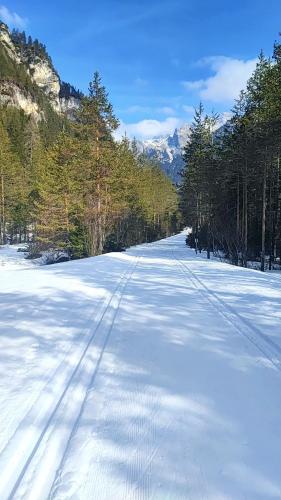 a snow covered road with trees and mountains in the background at Appartaments Lavaredo in Carbonin