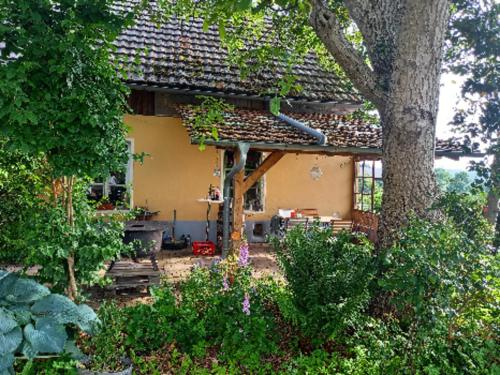 Zahrada ubytování Haus Oskar