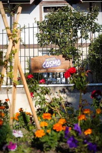 Hostel Cosmo