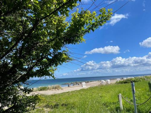a view of a beach from a grassy field at Ferien am Strand, Urlaub an der Ostsee Ferienwohnung am Strand in der Nähe der Schlei, Umgebung von Kappeln u Damp in Brodersby