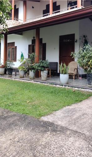 Zahrada ubytování Serendip Villa Holiday Home Talalla Sri Lanka
