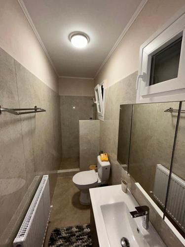 Un baño con un inodoro blanco y un lavabo. en Elysian Apartments, en Livadhiá