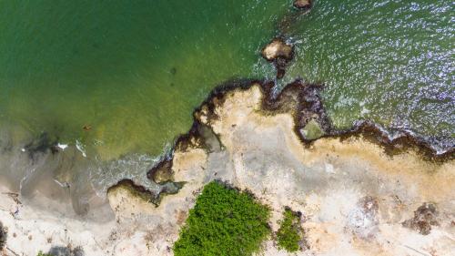 an aerial view of a rocky shore with water at Hotel Isla Real in Tierra Bomba