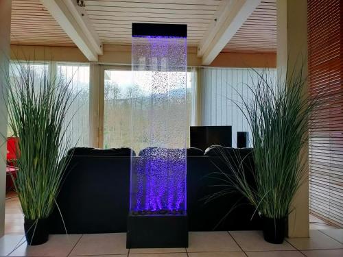 a lobby with a fountain and plants in a room at Echapée secrète in Rumilly