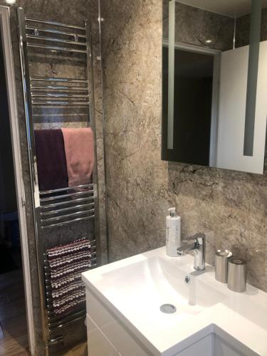 un baño con lavabo y ducha en Reay Street Apartment, en Inverness