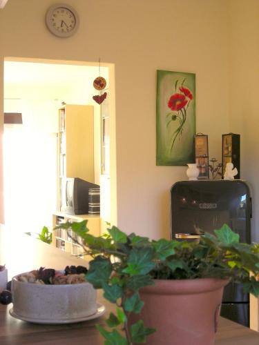 a kitchen with a plant on a table with a clock at Ferienwohnung in Preußisch Oldendorf in Preußisch Oldendorf