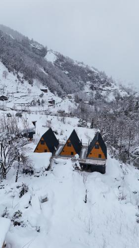 a group of houses in a snow covered field at AĞARAN Wooden Houses 2 in Cayeli