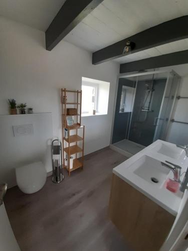 une salle de bain avec un lavabo et un miroir dans l'établissement La maison de Francine, à Plouézec