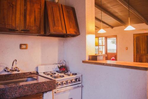 a kitchen with a stove and a sink at Finca La Pichona in Los Árboles