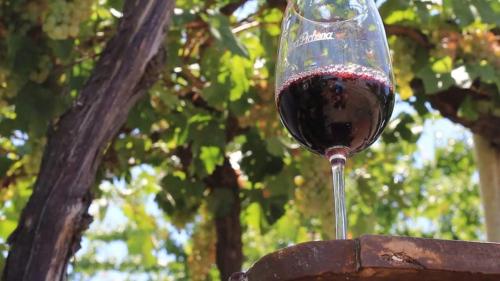 a glass of red wine sitting on a barrel at Finca La Pichona in Los Árboles