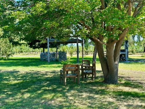 a picnic table and bench under a tree in a park at Finca La Pichona in Los Árboles