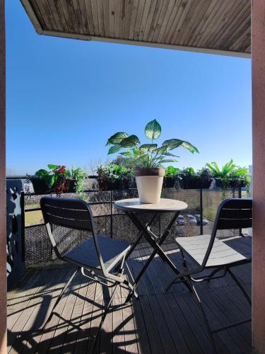 two chairs and a table on a deck with a potted plant at Cocoon'Inn Blagnac in Blagnac