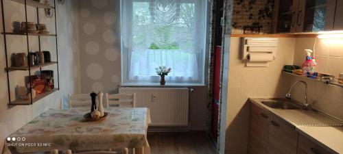 a kitchen with a table and a sink and a window at Fewo 1 in Sassnitz