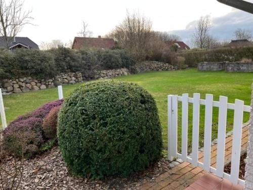 a white fence and a bush next to a yard at Ferienhaus Brombeerhof in Munkbrarup