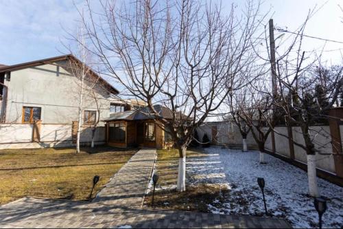 a house with a tree in front of it at Starvilla in Budeşti