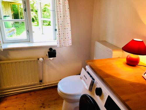 a bathroom with a toilet and a table with a lamp at Tante Kamps Hus - Uriges Häuschen mit Garten und Geschichte in Bönstrup