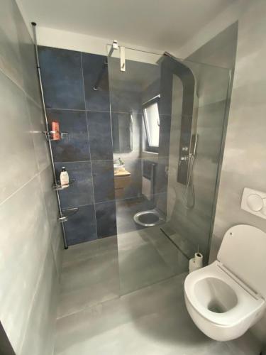 a small bathroom with a toilet and a shower at Villa Maris in Ražanj