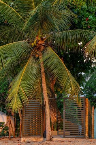 a palm tree with a bunch of bananas on it at Luxo e Tranquilidade na Ponta do Mutá - 2 Suítes em Cond Pé na Areia! in Barra Grande