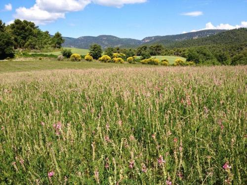 Φυσικό τοπίο κοντά σε αυτή η βίλα