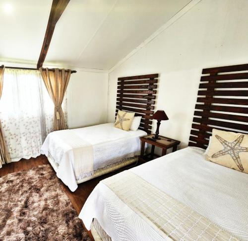 a bedroom with two beds and a window at Roes se Moes in Kestell