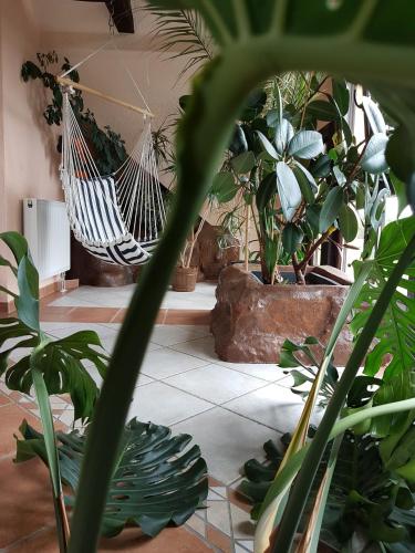 a hammock in a room with lots of plants at Attraktive FeWo in Rosenthal am Rennsteig in Neundorf