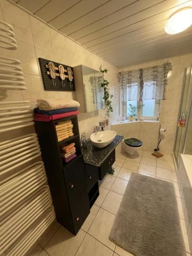 a large bathroom with a sink and a toilet at Schöne Ferienwohnung in Bahnhofsnähe für Urlaub, Studium oder Arbeit in Deggendorf