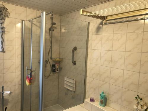 a bathroom with a shower with a glass door at Schöne Ferienwohnung in Bahnhofsnähe für Urlaub, Studium oder Arbeit in Deggendorf