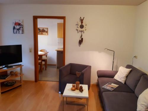 TV a/nebo společenská místnost v ubytování Ferienwohnung Heimatliebe