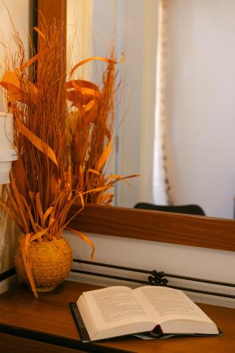 an open book sitting on a desk with a plant at Studios Kahlua in Agios Prokopios