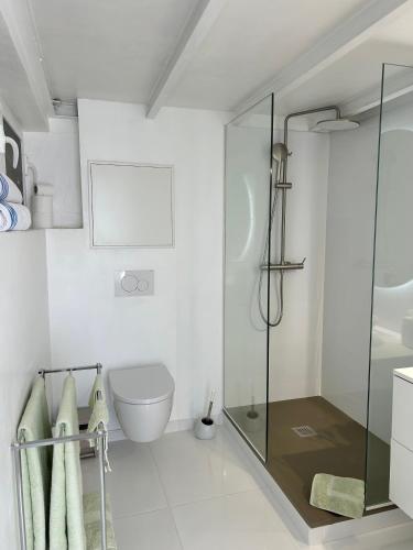 マリゴにあるLes Paletuviersのバスルーム(ガラス張りのシャワー、トイレ付)