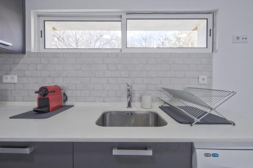 Olivais Modern by Homing
