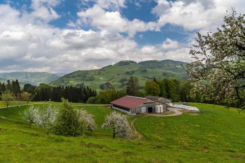 a barn in a field with mountains in the background at Schwarzwaldliebe in Fröhnd