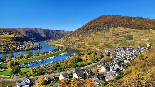 a small town on a hill next to a river at Ferienwohnung an der Mosel, Julia in Senheim
