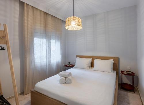 NEST- Cozy & Accessible Stay