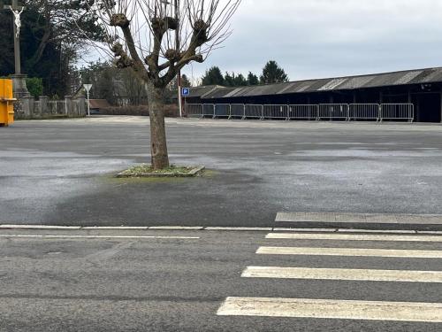 a parking lot with a tree in the middle of it at Fair Field in Sourdeval
