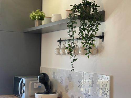 a kitchen with plants hanging from a wall at Sedi Royal Cosmopolis in Ştefăneştii de Sus