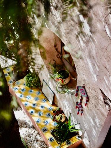 an overhead view of a table with plants on it at Casa Sulahue in Real de Catorce