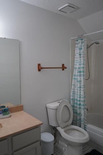 a bathroom with a toilet and a shower curtain at Cozy Bartlett home with garage, fenced backyard in Memphis